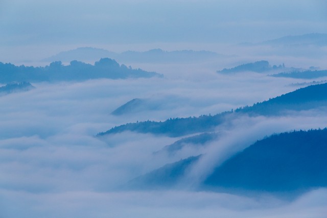 morning mist 