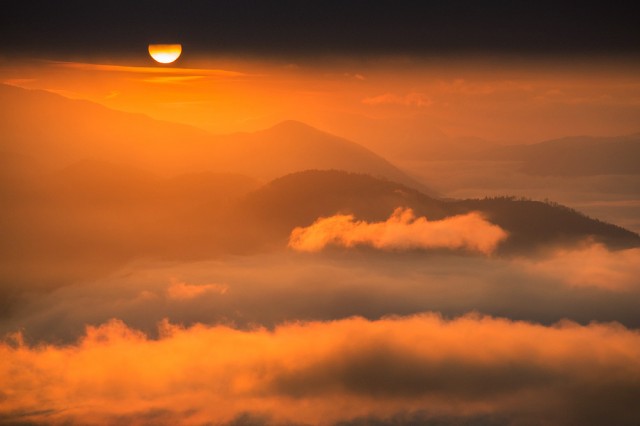 morning mist 2