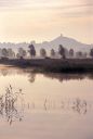 Somerset Levels, Glastonbury, England/an_012-35.jpg/342